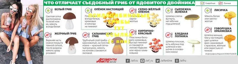 купить закладку  Краснокамск  Галлюциногенные грибы прущие грибы 